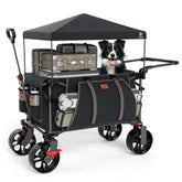 EVER ADVANCED folding push wagon with canopy for easy beach trips and sun protection.