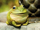 Evergreen Garden portly frog statue 6-inch adds charm and a hidden key holder.