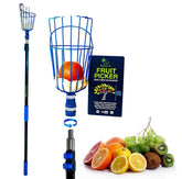 EVERSPROUT fruit-picker-extended-pole reaching high branches for easy harvest.