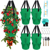 EVISWIY upside-down tomato-strawberry planter kit for balcony gardening efficiency.