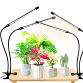 EWITTTI plant lights with full spectrum deliver balanced growth for indoor greens.
