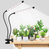 EWPJDK grow light delivers 6500K full spectrum for indoor plant growth