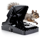 eXuby Squirrel Trap two-pack ready for attic and garden use, reusable and chemical-free