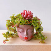 EylbKey head planter close-up showing the lady-face design for decor.