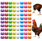 EZEELAI 16mm chicken leg bands in eight colors for quick flock labeling