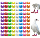 EZEELAI 80pcs color coded leg bands in eight colors for easy bird identification.