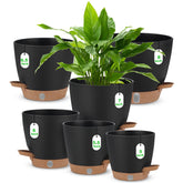 Ezmixcoop self-watering planter with visual water level window for easy indoor care.