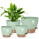 Ezmixcoop 12-inch green self-watering pot for larger indoor plants with water indicator