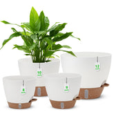 Ezmixcoop self-watering pots with water level window for easy moisture tracking