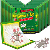 Ezoon large glue trap with enhanced adhesive for reliable capture.
