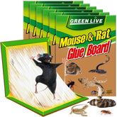 Ezoon six-pack sticky mouse traps, front view, ideal for indoor pest control.