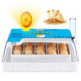 Failenfeivp incubator blue front view showing compact home hatchery design