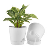 FaithLand 8in self-watering planter tray keeps plants hydrated when away.