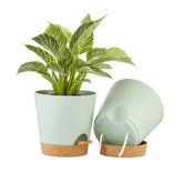 FaithLand 8 inch self-watering planter with deep tray for extended hydration