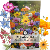 Family Sown All Annual Quick Blooming Mix packet boosts quick color in any garden