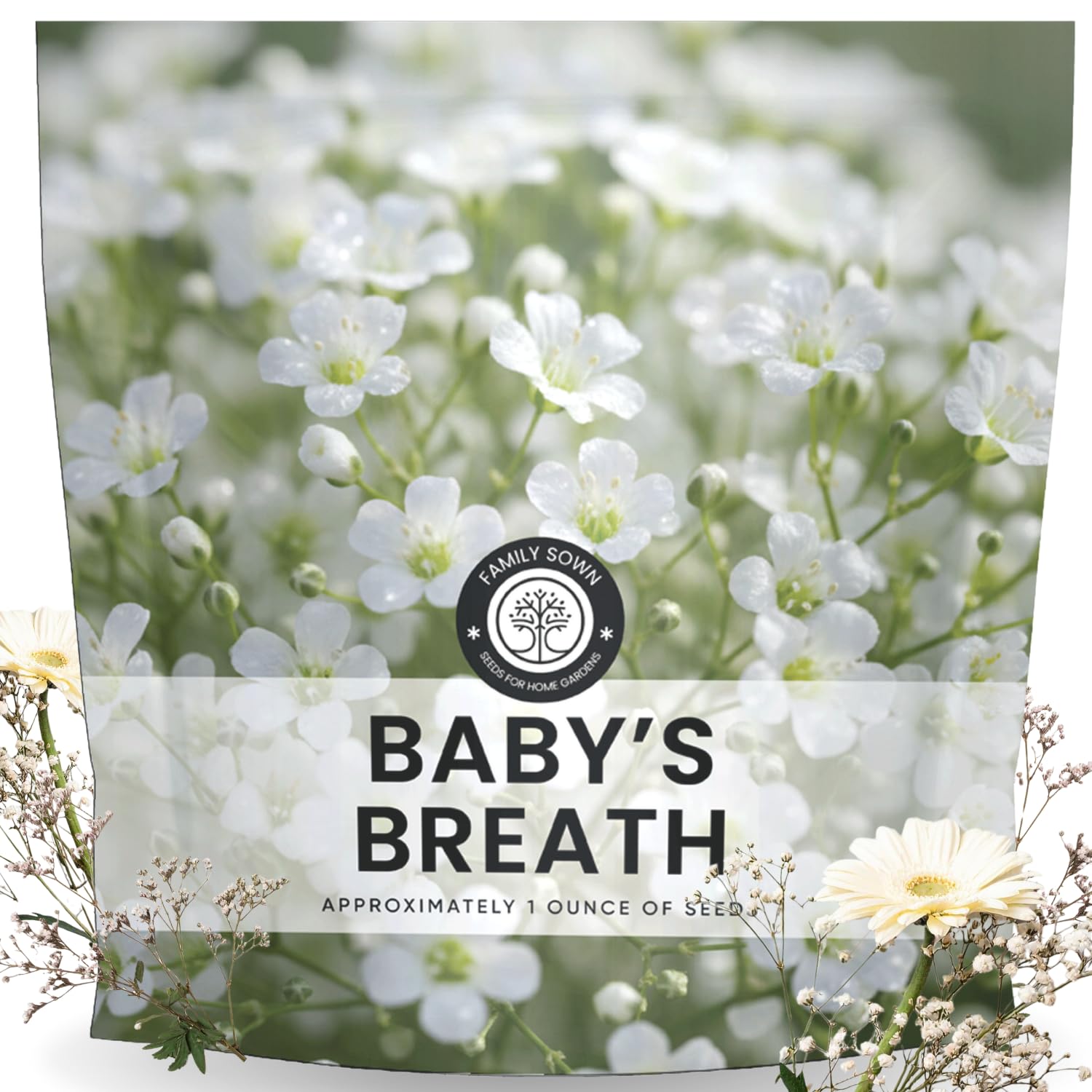 Family Sown Baby's Breath seeds pack ready for planting in beds.