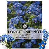 Family Sown Chinese Forget Me Not seeds 800-pack packaging for spring planting and vibrant blooms.