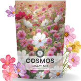 Family Sown Crazy Cosmos Mix bulk pouch for border planting and pollinator-friendly blooms.
