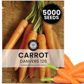 FAMILY SOWN Danvers 126 carrot seeds pouch for a productive planting season