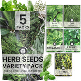 Family Sown Italian Basil seeds pack for fresh, homegrown flavor