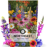 Family Sown Northeast Natives Mix seeds in a moisture-sealed pouch for broad meadow planting.