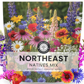 Family Sown Northeast Natives Mix seeds ready for spring sowing in a pollinator-friendly garden.