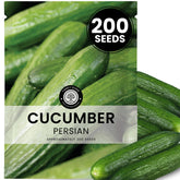 Family Sown Persian cucumber seeds packet, reliable germination for steady harvest.
