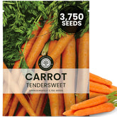Family Sown Tendersweet carrot seeds pack ready for planting and harvest.