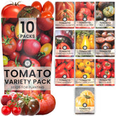 Family Sown tomato seeds packaging showing freshness and gift-ready design