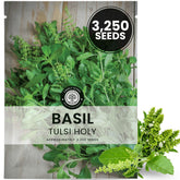 FAMILY SOWN Tulsi Holy Basil seeds in a sealed 1-gram pouch, ready for reliable spring planting.