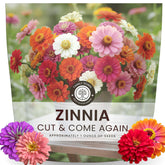 Family Sown Zinnia Cut and Come Again seeds in 1 oz pouch for easy sowing.