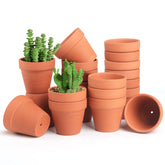 Family terra cotta pot close-up, textured clay surface promotes breathable root health.
