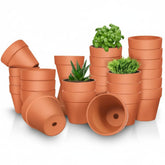 FANOBL 3-inch terracotta pot with drainage hole supports healthy root airflow.
