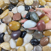 FANTIAN river rocks in mixed colors, 1-2 inch, ideal for bonsai drainage and decor