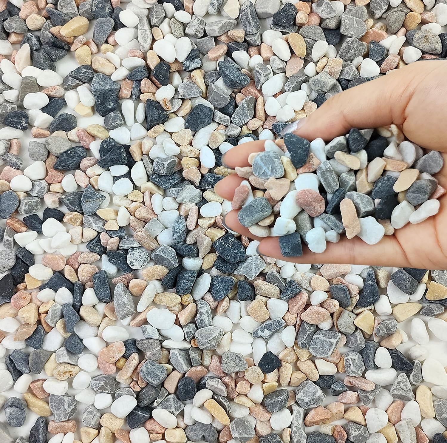 FANTIAN succulent pebbles top dressing for plant displays and soil coverage.