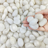 FANTIAN white pebbles for plant pots improve drainage and soil aesthetics.