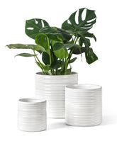 Fayoula 6-inch ceramic pot with horizontal stripe for compact plants.
