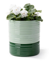 Fayoula self-watering pot with wick rope shows effortless hydration for indoor plants.