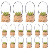 Fayoula succulent wrap bags secure a 2-inch pot with style.