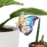 FBBP hummingbird-cardinal-butterfly acrylic ornament for pots, adding nature charm