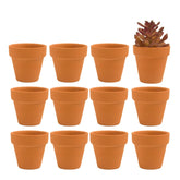 Fcacti 12-pack mini clay pots with drainage holes for healthy irrigation.