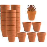 Fcacti 36-pack mini terracotta pots with drainage holes for healthy succulents.