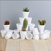 FCFKUK 24-piece mini clay pots in terracotta for small plants and succulents.
