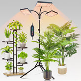 FECiDA 2026 3Head Grow Light on stand for even coverage of large houseplants