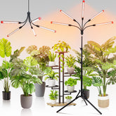 FECiDA 5-head grow light with tripod stand improves indoor plant light distribution