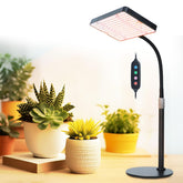 FECiDA tabletop grow light in full spectrum over seedling tray for even growth