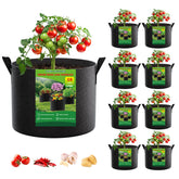 FEED GARDEN 10-gallon grow bags setup showing space-saving balcony gardening.