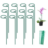 FEED GARDEN 16-inch stake supports a rose stem for upright growth.