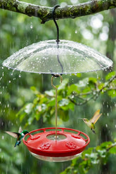 FEED GARDEN hummingbird feeder with leak-proof lid and rainproof dome for outdoor nectar