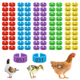 Feehope 100 Pcs 16mm chicken leg bands multicolor for quick flock sorting.
